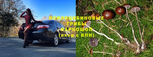 стафф Алексеевка