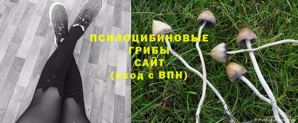 ешки Алексин