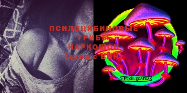 ешки Алексин