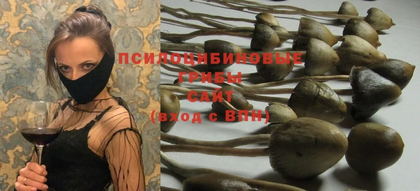 ешки Алексин