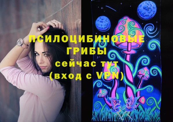 ешки Алексин