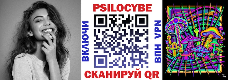 Псилоцибиновые грибы Psilocybe  Углич 